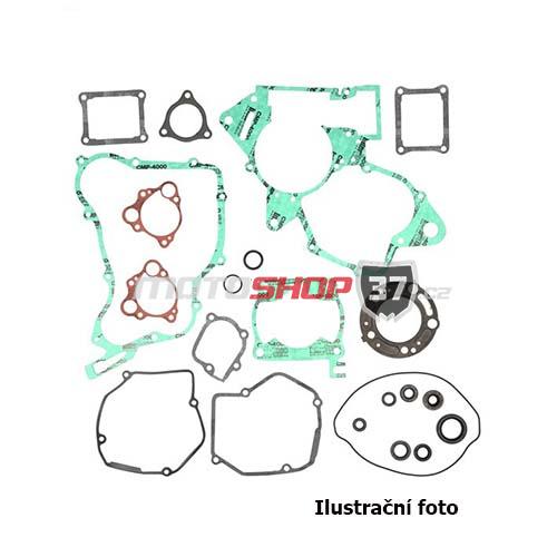 Sada těsnění motoru KTM EXC300 90-03